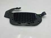 Gitter vorne unten LAND ROVER RANGE ROVER EVOQUE Cabrio (L538) 2.0 D 4x4 GJ3215A298A