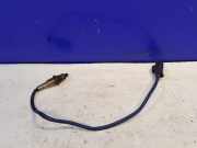 Lambdasonde Jaguar F-Type Coupe (QQ6) DX239G444GA