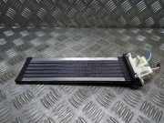 Kühler Lexus RX 4 (L2) 2948000031