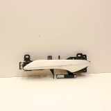 Türgriff rechts vorne Lexus RX 4 (L2)