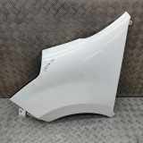 Kotflügel vorne links RENAULT MASTER III Furgon (FV) 2.3 dCi 145 FWD (FV0E, FV0F, FV0H, FV0J) 631013304R