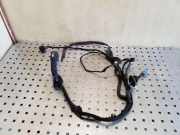 Türverkabelung hinten links CHEVROLET CAPTIVA (C100, C140) 2.2 D 4WD 95083429