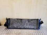 Ladeluftkühler RENAULT TRAFIC II Furgon (FL) 2.0 dCi 115 (FL01, FL0U) 8200411160C 93854162