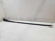 Zierleiste Windschutzscheibe Frontscheibe FORD S-MAX (WA6) 2.0 TDCi 10000673568ASMML