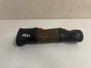 Schlauch für Luftversorgung Mercedes-Benz S-Klasse (W221) A6420945097