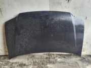 Motorhaube VW TOURAN (1T1, 1T2) 1.9 TDI