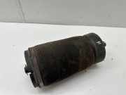 Stoßdämpfer links hinten Land Rover Discovery II (L318)