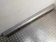 Schweller aus Kunststoff links