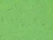 Handbremshebel Mercedes-Benz C-Klasse (W203) 2034270112