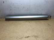 Armaturenbrett Verkleidung