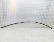 Rechte Dachleistenverkleidung TESLA MODEL Y EV Performance All-wheel Drive 1495731-00-C