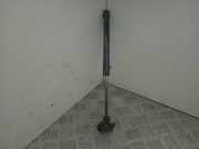 Gasfeder für Motorhaube BMW 5er (F10) 7309117