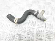 Schlauch Kühlung 3ZR-FAE