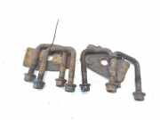 Blattfeder links hinten Ford Transit Pritsche (F**6)