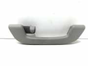 Griff Panoramadach BMW 1er (F20)