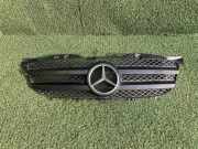 Kühlergrill komplett Mercedes-Benz Sprinter 5t Kasten (906) 9068800385