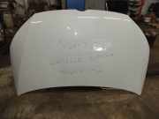 Motorhaube VW Caddy III Kasten (2KA)