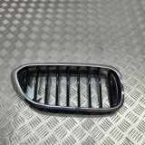 Gitter Grill vorne rechts BMW 5 (G30) 530 d 7390866 7390864