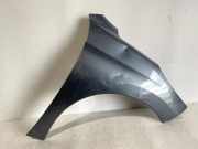 Kotflügel vorne rechts PEUGEOT 207 (WA_, WC_) 1.4