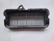 Karosserielüftungsgitter