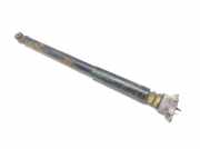 Stoßdämpfer links hinten Ford EcoSport () CN1518159AA