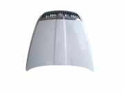 Motorhaube Skoda Octavia II (1Z)