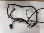 Kabelbaum Citroen C4 II (B7) 9672179080