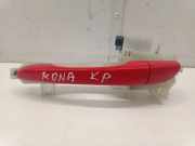 Türgriff links hinten Hyundai Kona I (OS, OSE, OSI) 2131175200