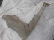 Fensterwaschtank NISSAN INTERSTAR Furgon (X70) dCi 120 8200146985A