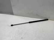 Heckklappe Gasdruckfeder links FORD FIESTA VII 1.0 EcoBoost H1BBA406A10AH