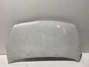 Motorhaube Peugeot Partner II Tepee ()