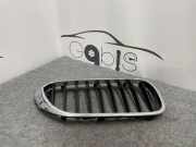 Gitter Grill vorne links BMW 5 Touring (G31) 520 d xDrive 7390866