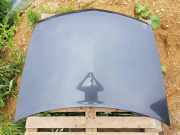 Motorhaube RENAULT VEL SATIS (BJ0_) 3.0 dCi (BJ0J, BJ0N)