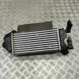 Ladeluftkühler FORD PUMA (J2K, CF7) 1.0 EcoBoost mHEV L1BG-6D624-AB