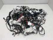 Kabelbaum BMW X4 (G02, F98) xDrive20i 2462617