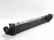 Ladeluftkühler VOLVO V70 II (SW) 2.4 D5 6G919L440FD