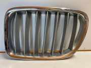 Vorderer oberer Gitter BMW X1 (E84) xDrive 20 d 2993305