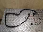 Kabelbaum VW Passat B7 (362) 3C2971111T