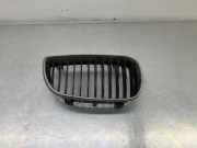 Vorderer oberer Gitter BMW 1 (E81) 120 d 7128614