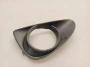Nebelscheinwerferverkleidung TOYOTA YARIS (_P1_) 1.4 D-4D (NLP10_) 814810D140