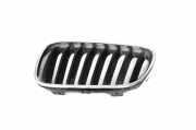 Vorderer oberer Gitter BMW 2 Coupe (F22, F87) 218 d 7295521