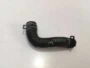 Schlauch Kühlung VW GOLF VIII (CD1) 1.5 TSI Bluemotion 5Q0121063Q