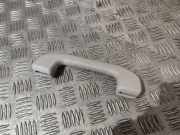 Dachgriff vorne links