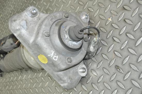 Front left pneumo shock absorber Bild Front left pneumo shock absorber