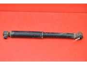 Stoßdämpfer rechts hinten Fiat Doblo Van (263)