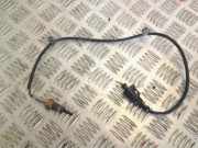 Sauerstoffsensor (Lambdasensor) AUDI A5 (F53) 2.0 TDI quattro 8K0973702