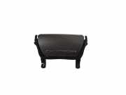 Aschenbecher Citroen C5 III (RD) 81230142