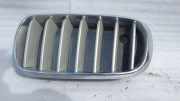 Vorderer oberer Gitter BMW X5 (F15, F85) M 50 d 7316047