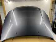 Motorhaube CITROËN C5 II (RC_) 2.2 HDi (RC4HXE)