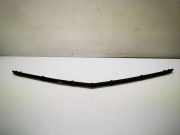 Gitter vorne unten MERCEDES-BENZ C (W204) C 220 CDI (204.008)